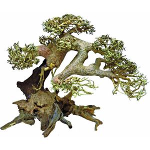 Bonsai Driftwood Aquariumdecoratie Large