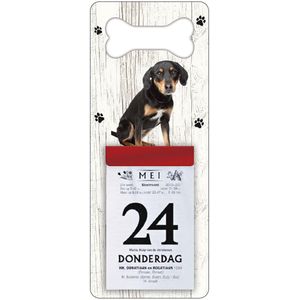 Scheurkalender 2024 Hond: Appenzeller Sennerhond