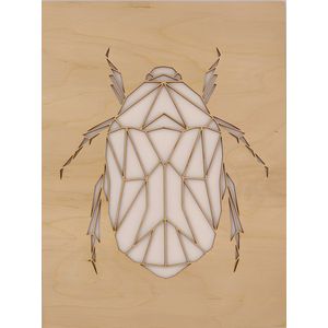 Tor - 30x40cm- hout- dieren- insect
