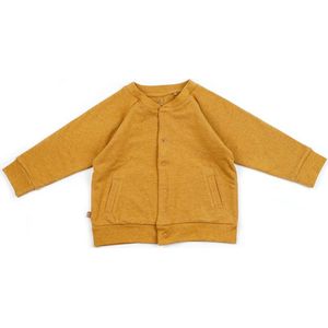 Frogs and Dogs - Vestje Ocher - babyshower - kraamcadeau - Okergeel - Maat 68 - Jongens, Meisjes