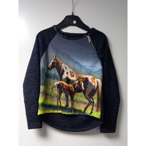 Trui paarden - rits - sweater - 4 jaar