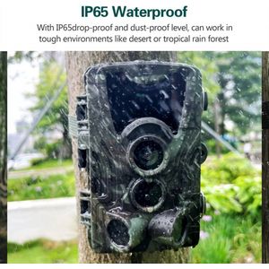 Jachtpad Camera Nachtzicht Hc801a Wildlife Camera Met Motion-Geactiveerde Outdoor Trail Camera Trigger Wildlife Scouting