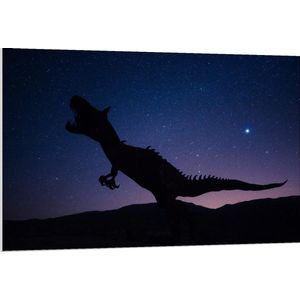 Forex - Silhouet Dinosaurus bij Sterrenhemel - 120x80cm Foto op Forex
