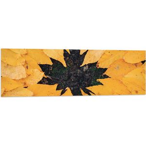 Vlag - Bladeren - Herfst - Canada - Gras - 120x40 cm Foto op Polyester Vlag