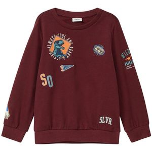 s.Oliver - Jongens Sweater - Rood