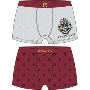 Warner Bros Harry Potter - Ondergoed - Boxers - Multi colour