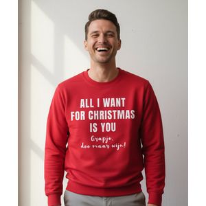All I Want For Christmas Is You (grapje doe maar wijn) | Sweater – Rood - M