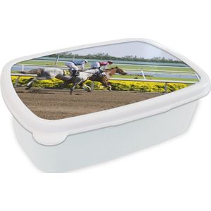 Broodtrommel Wit - Lunchbox - Brooddoos - Paarden - Racebaan - Zand - 18x12x6 cm - Volwassenen