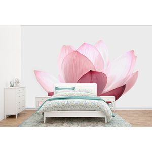 Bloemen - Roze - Natuur - Botanisch - Behangpapier