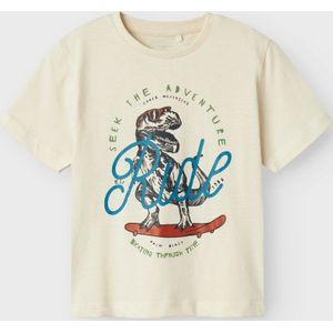 NAME IT NMMBENNIBO SS NREG TOP PB Jongens T-shirt - Birch