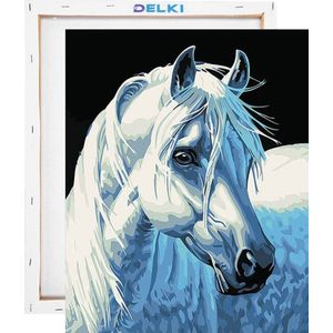 Paard Schilderen op Nummer Volwassenen & Kinderen met Frame – Paint By Number met Canvas Schildersdoek 40x50 & Acrylverf