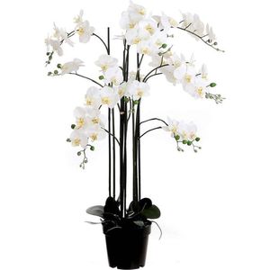 Mica Decorations orchidee in plastic pot creme maat in cm: 35x35x117
