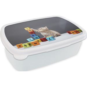 Broodtrommel Wit - Lunchbox - Brooddoos - Een kitten speelt met gekleurde blokken - 18x12x6 cm - Volwassenen