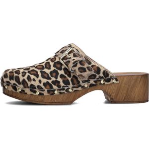 Notre-V 7743 Clogs Dames - Bruin - Maat 38