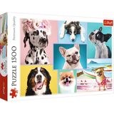 Trefl - Puzzles - ""1500"" - Cute dogs