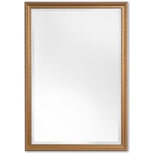 Klassieke Spiegel 57x157 cm Goud - Olivia