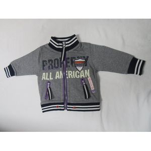 dirkje , jongens , gilet , grijst / paars , all american 23 , 80 - 12 maand