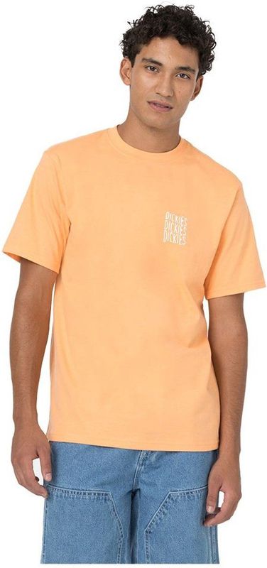 Dickies - Creswell - T-shirt - Zwart - Korte Mouwen