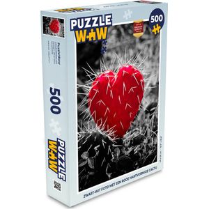 Puzzel Zwart-wit foto met een rode hartvormige cactus - Legpuzzel - Puzzel 500 stukjes