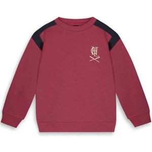 Like Flo - Sweater Charlie - Grape - Maat 176