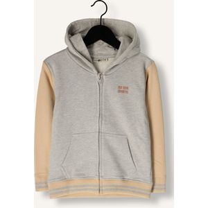 DAILY7 Hoodie Zipperjacket Truien & Vesten Jongens - Sweater - Hoodie - Vest- Multi - Maat 104