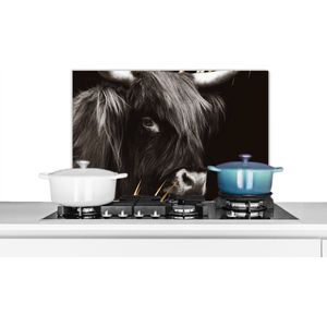 Spatscherm keuken 70x50 cm - Kookplaat achterwand Schotse hooglander - Bladeren - Zwart - Muurbeschermer - Spatwand fornuis - Hoogwaardig aluminium