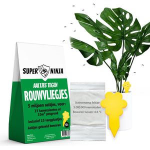 Super Ninja Combipakket Tegen Rouwvliegjes - 5 Miljoen Aaltjes + 10 Sticky Vallen voor Ecologisch Rouwvliegjes Bestrijden
