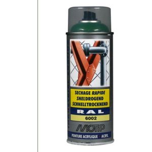 Sneldrogende lak spray voor metaal - Industrieel - Auto - Loof Groen - RAL 6002