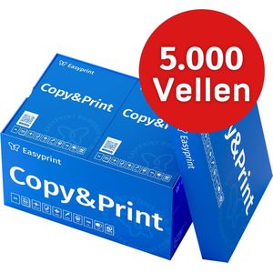 Easyprint Printerpapier kopieerpapier 5000 vellen 10 x 500 A4 premium wit PEFC-gecertificeerd