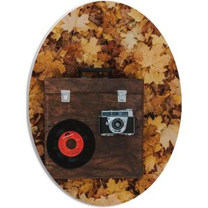 PVC Schuimplaat Ovaal - Muziekplaat en Vintage Camera op Koffer tussen de Herfstbladeren - 30x40 cm Foto op Ovaal (Met Ophangsysteem)