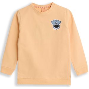 Woezel & Pip Sweater jongens - Perzik - Maat 74/80 - Jongens trui