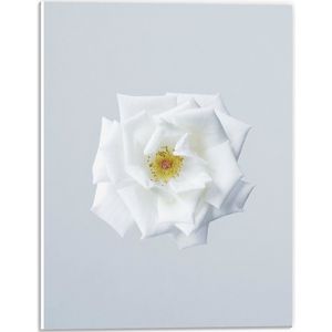 WallClassics - PVC Schuimplaat- Witte Bloem op Lichtgekleurde Achtergrond - 30x40 cm Foto op PVC Schuimplaat