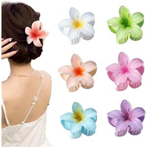 Bloemen Haarklemmen Set van 6 - Kleurrijke Clips voor Dames