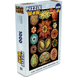 Puzzel Vintage - Ernst Haeckel - Zeedier - Natuur - Zee - Kunst - Legpuzzel - Puzzel 1000 stukjes volwassenen