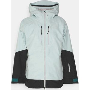 Spyder Heren Sanction GORE-TEX Skijas Wintergroen Zwart Maat M