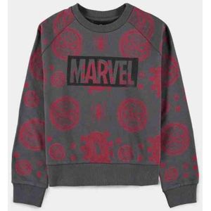 Marvel SpiderMan - Allover Pigment Print Sweater/trui kinderen - Kids 158 - Grijs