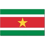 Vlag Suriname 90 x 150 cm feestartikelen - Suriname landen thema supporters