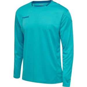 Hummel Trikot Langarm Hmlauthentic Poly Jersey L/S Bluebird-S
