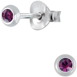 Joy|S - Zilveren mini rond oorbellen - 3 mm - paars kristal - voor kinderen