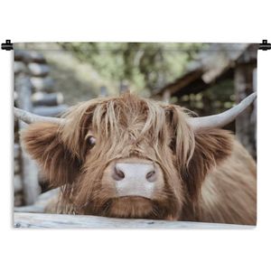 Wandkleed - Wanddoek - Schotse hooglander - Macro - Hoorns - 120x90 cm - Wandtapijt