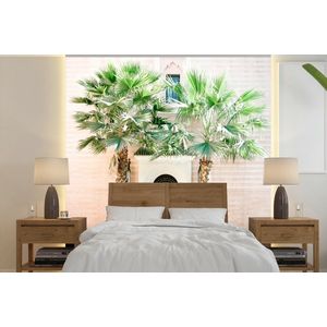 Deur - Marrakesh - Palmboom - Wit - Tropisch - Behangpapier