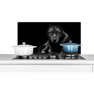 Spatscherm keuken 90x45 cm - Kookplaat achterwand Dieren - Wolf - Zwart - Wit - Portret - Muurbeschermer - Spatwand fornuis - Hoogwaardig aluminium