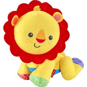 Fisher-Price-leeuw - Multi kleuren speelgoed voor motoriek