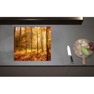 Inductieplaat Beschermer - Bomen in Bos in Oranje Tinten - 59x55 cm - 2 mm Dik - Inductie Beschermer - Bescherming Inductiekookplaat - Kookplaat Beschermer van Zwart Vinyl