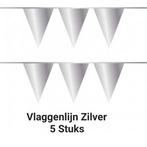 5 x vlaggenlijn - Zilver - 10 meter, Verjaardag, Themafeest, Jubileum, Kerstmis, Nieuwjaar, Carnaval
