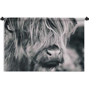 Wandkleed Schotse hooglander nieuw - Close-up van een Schotse hooglander in zwart-wit Wandkleed katoen 180x120 cm - Wandtapijt met foto XXL / Groot formaat!