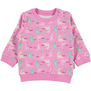 Baby/peuter sweater meisjes - Dino Babykleding - Dinosaurus