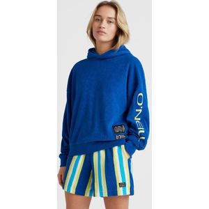 O'neill Truien BRIGHTS TERRY HOODIE