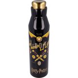 Harry Potter Thermo Drinkfles Rvs