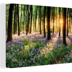 Canvas - Canvasdoek - Bos - Natuur - Bloemen - Zon - Woonkamer canvas - Decoratie - 40x30 cm